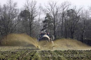 Epangage de lisier au champ à la fin de l'hiver. Bretagne