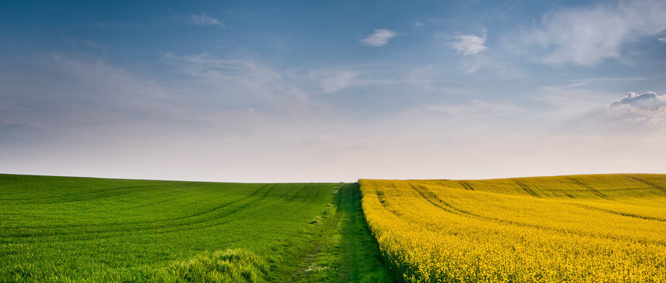 Suivi agronomique, épandages, Dossiers élevages