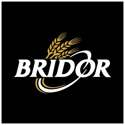 logo-bridor